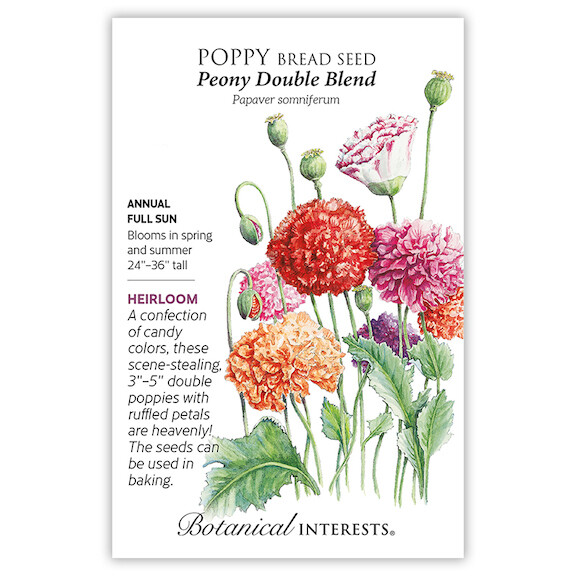 BI Poppy Peony Double Blend 1231