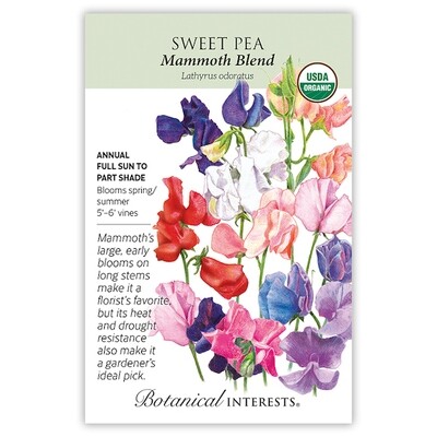 BI Sweet Pea Mammoth Org 2056