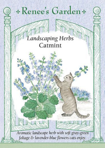 Renee's Catmint Landscape Ornamental 5110 