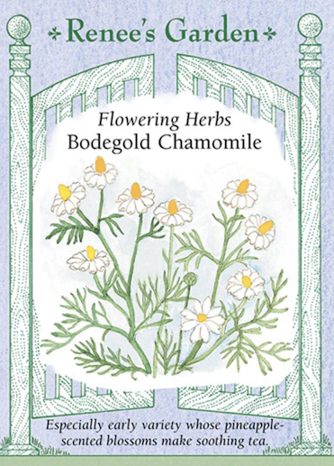 Renee's Chamomile Bodegold 5225