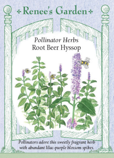 Renee's Hyssop Rootbeer Scented 5546
