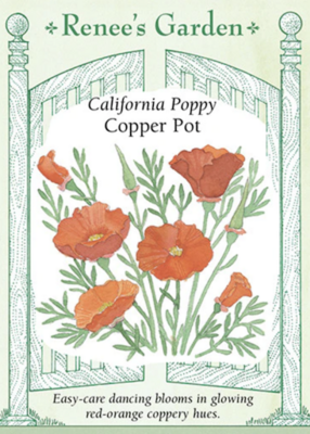Renee's Poppy California Copper Pot 5948