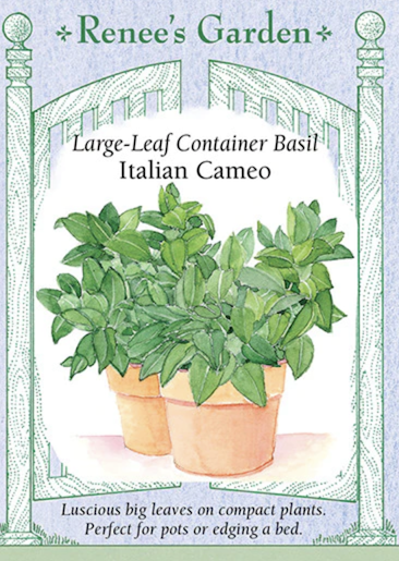 Renee's Basil Italian Cameo Container 5416