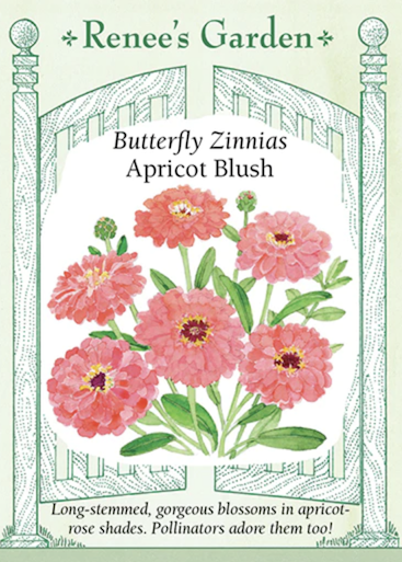 Renee's Zinnia Apricot Blush 5023