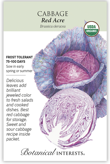 BI Cabbage Red Acre Org 3030