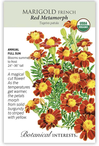 BI Marigold French Red Metamorph Org 2041