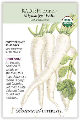 BI Radish Daikon Miyashige White Org 3086