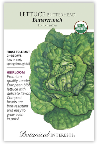 BI Lettuce Butterhead Buttercrunch Org 3052