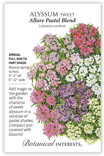BI Alyssum Sweet Allure Pastel Blend 1267