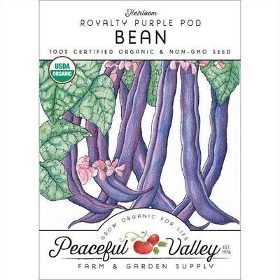 PV Bean Royalty Purple Pod Org SNV8208