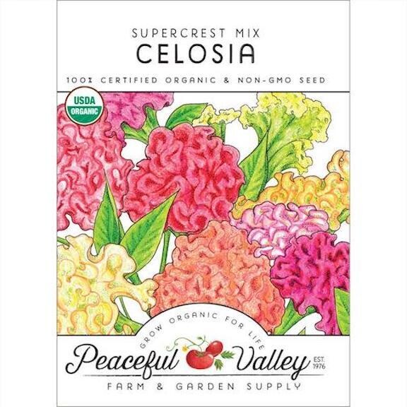 PV Celosia Supercrest Mix Org SWF8036