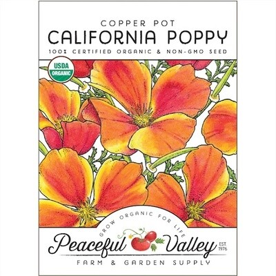 PV California Poppy Copper Pot Org SNV8628