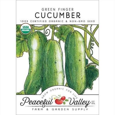 PV Cucumber Green Finger Org SNV8515