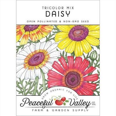 PV Daisy Tricolor Mix Org SWF186