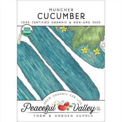 PV Cucumber Muncher Org SNV8219