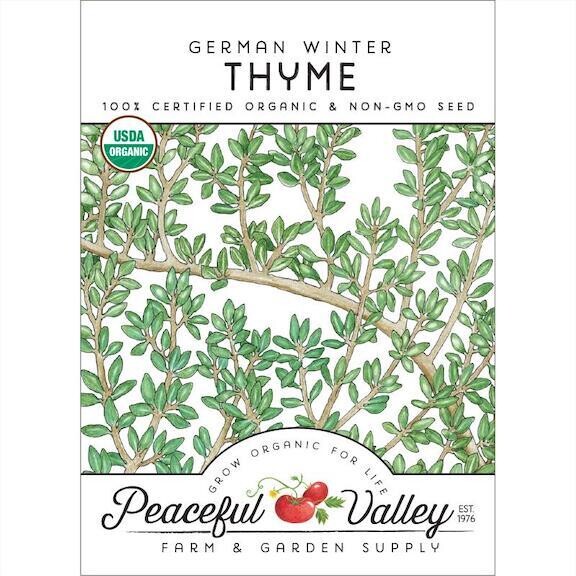 PV Thyme German Winter Org SNV8263