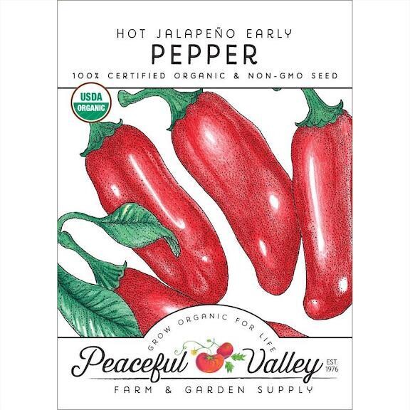 PV Jalapeno Hot Early Pepper Org SNV8124