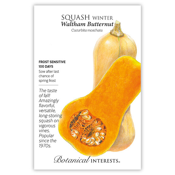 BI Squash Winter Waltham Butternut Org 3111