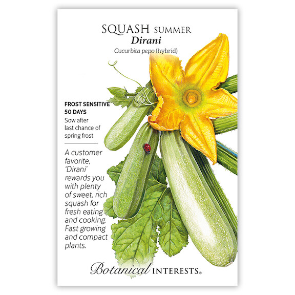 BI Squash Summer Dirani 0250