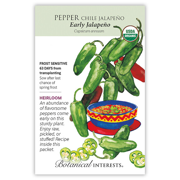 BI Pepper Chile Jalapeno Early Org 3060