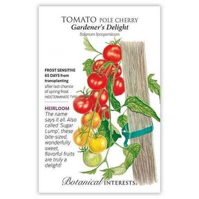 BI Tomato Cherry Gardener's Delight 0052