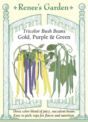 Renee's Bean Bush Tricolor 5550