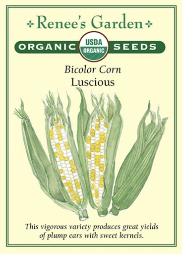 Renee's Corn Lucious Bicolor Org 3005