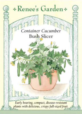 Renee's Cucumber Bush Slicer 5419