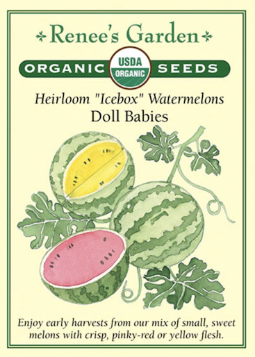 Renee's Watermelon Doll Babies Org 3052