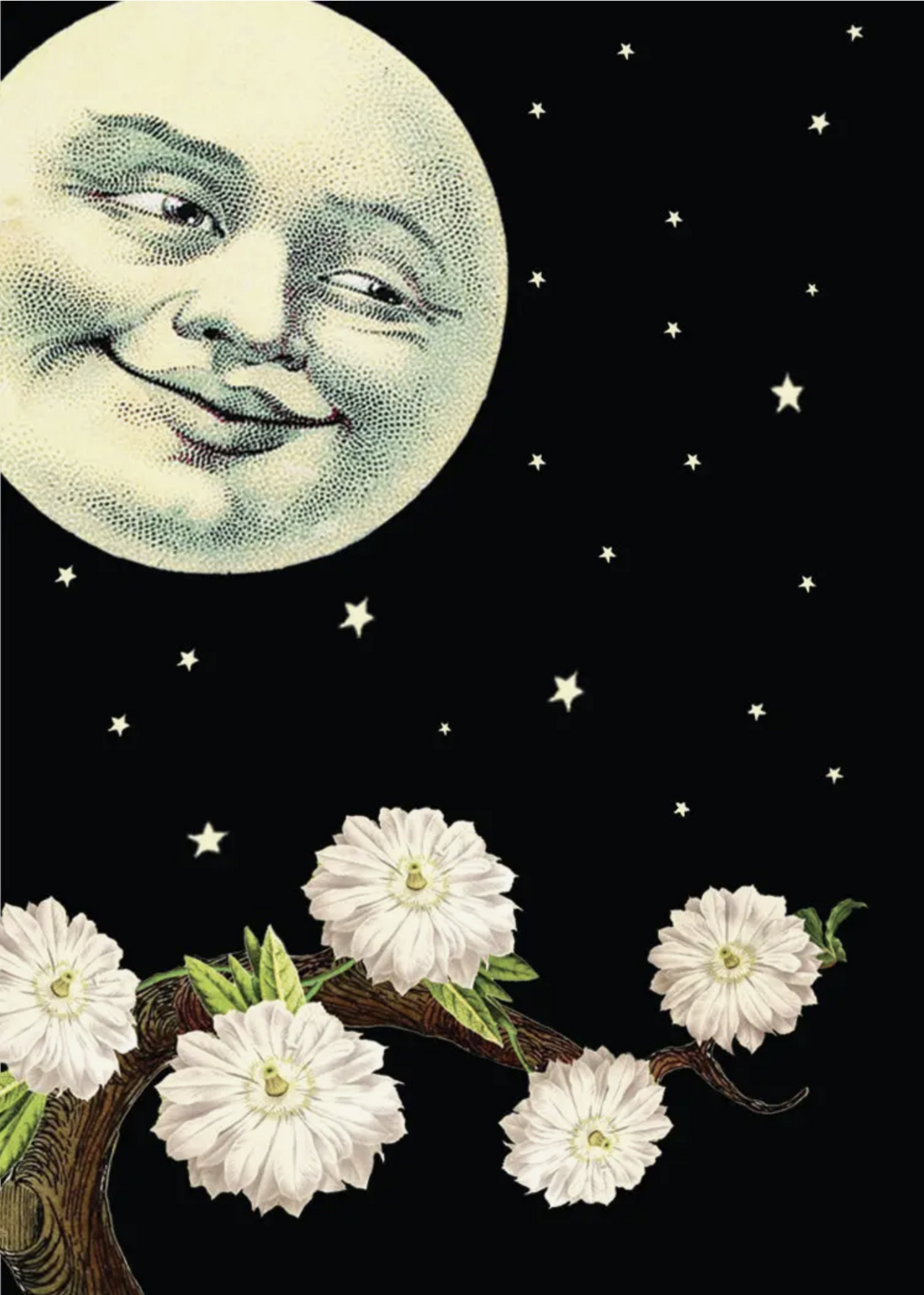 PFD Moon Mini Card MI-MO