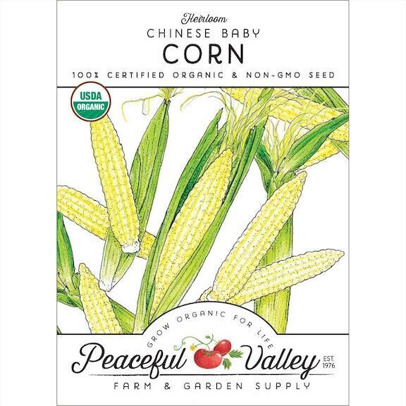 PV Corn Chinese Baby Org SNV8556 Store The Plant Foundry