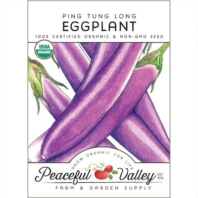 PV Eggplant Ping Tung Long Org