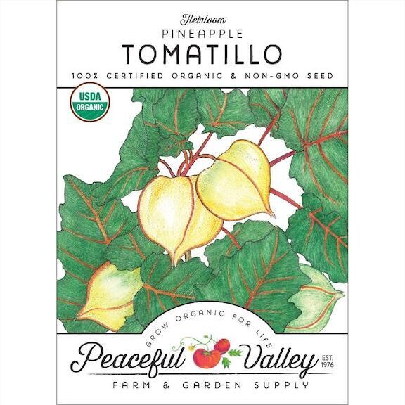 PV Ground Cherry Pineapple Tomatillo Org  SNV8470