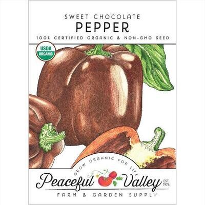 PV Pepper Sweet Chocolate Org SNV8133
