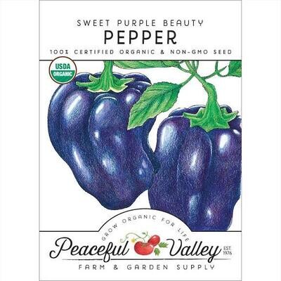 PV Pepper Sweet Purple Beauty Org SNV8131