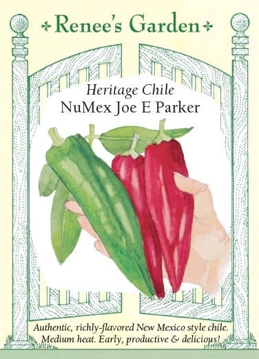 Renee's Pepper Chile Numex Joe Parker 5028