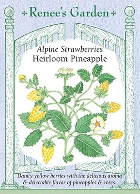 Renee's Strawberry Alpine Pineapple 5875