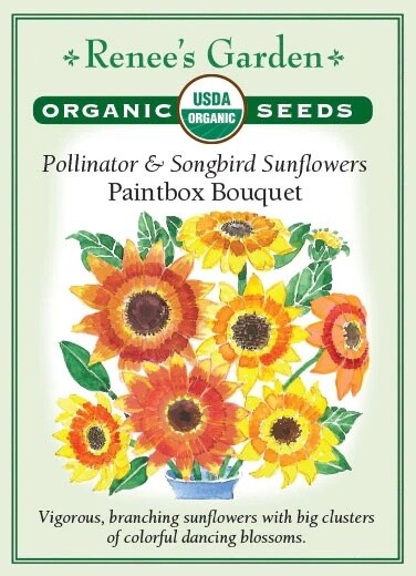 Renee's Sunflower Paintbox Bouquet Org 3095