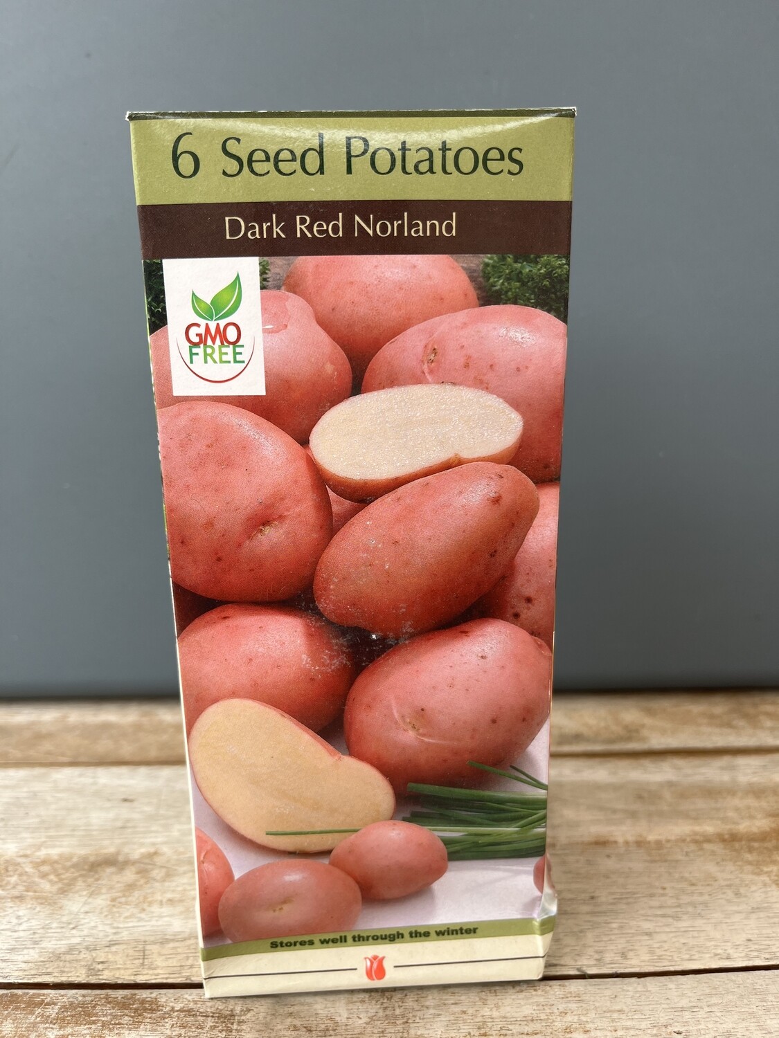 NBC Potato Conventional Dark Red Norland Store The Plant Foundry