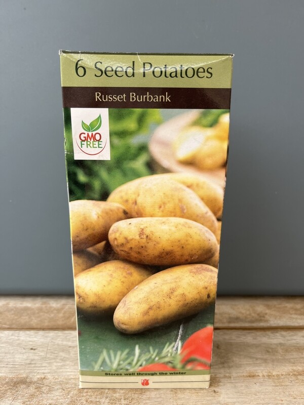 NBC Potato Conventional Russet Burbank