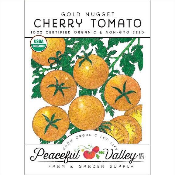 PV Tomato Gold Nugget Cherry Org SNV8277