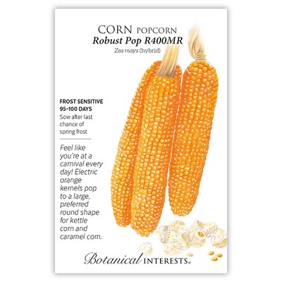 BI Corn Popcorn Robust Pop 0297