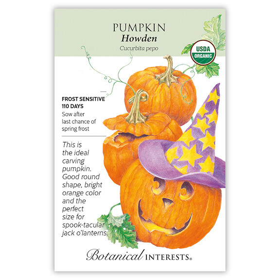 BI Pumpkin Howden Org 3113