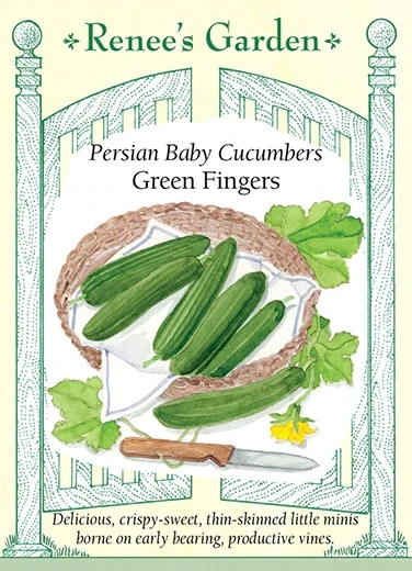 Renee's Cucumber Green Fingers Persian 5826