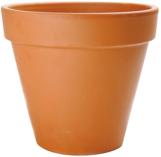 Central Terracotta Standard 8.25"
