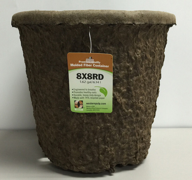 BFG Western Pulp Pot 8x8 1.62Gal WP1011063