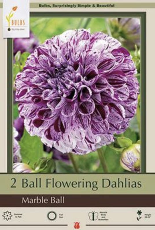 NBC Dahlia Marble Ball