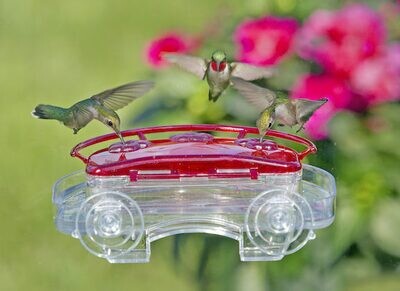 Zbird Aspects Jewel Box Window Hummingbird Feeder (407)