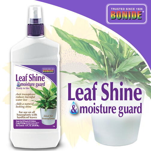Bonide Leaf Shine 12oz