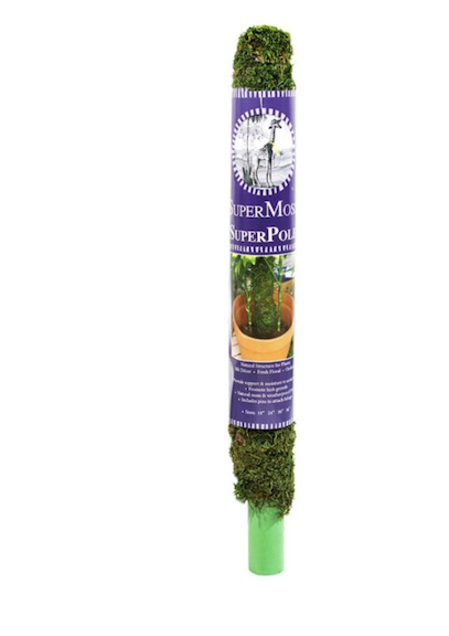 SuperMoss Moss Pole 18 22205 – Store – The Plant Foundry